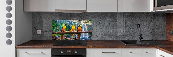 Panel do kuchyne Papagáje na vetve