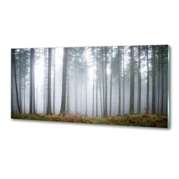 Dekoračný panel sklo Hmla v lese