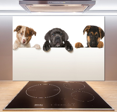 Panel do kuchyne Tri šteniatka