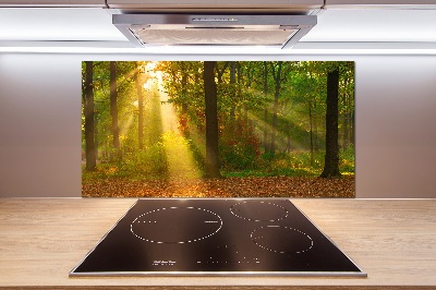 Dekoračný panel sklo Les slnko