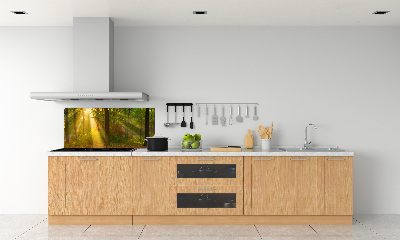 Dekoračný panel sklo Les slnko