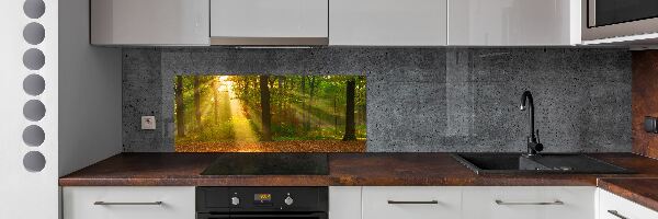 Dekoračný panel sklo Les slnko
