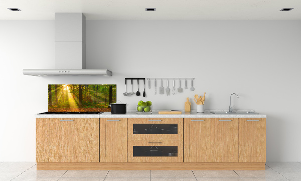 Dekoračný panel sklo Les slnko