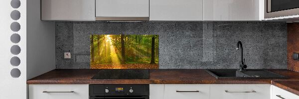 Dekoračný panel sklo Les slnko