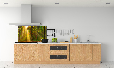 Dekoračný panel sklo Les slnko
