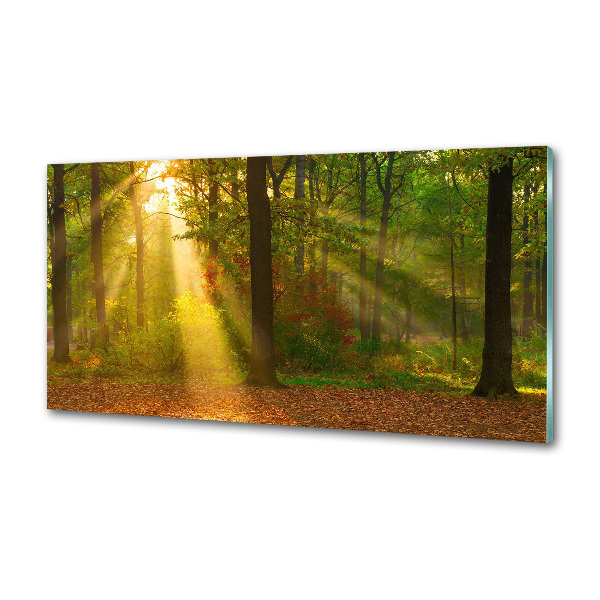 Dekoračný panel sklo Les slnko