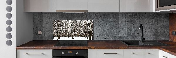 Dekoračný panel sklo Brezy zima