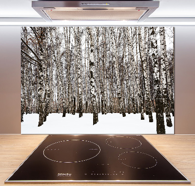 Dekoračný panel sklo Brezy zima