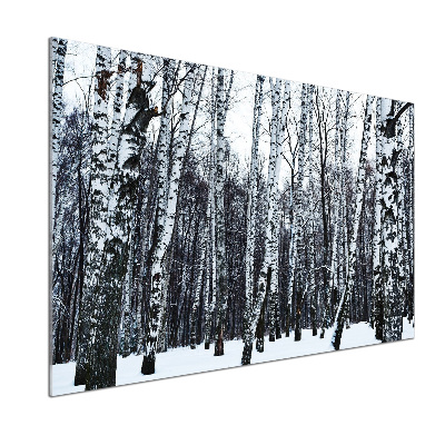 Dekoračný panel sklo Brezy zima