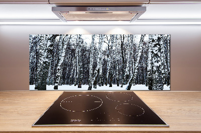 Dekoračný panel sklo Brezy zima