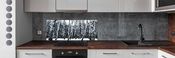 Dekoračný panel sklo Brezy zima