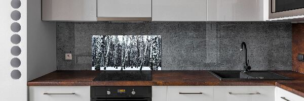 Dekoračný panel sklo Brezy zima