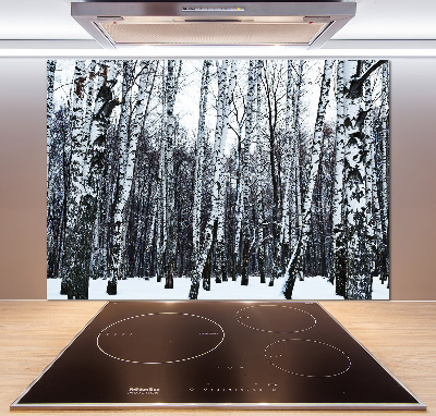 Dekoračný panel sklo Brezy zima