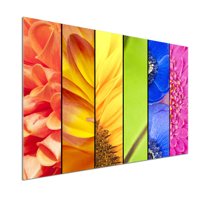 Panel do kuchyne Farebné kvety