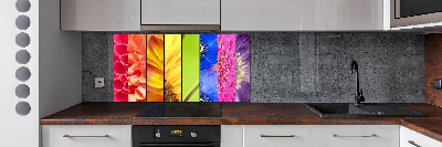 Panel do kuchyne Farebné kvety