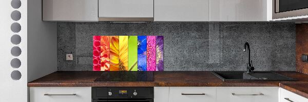 Panel do kuchyne Farebné kvety