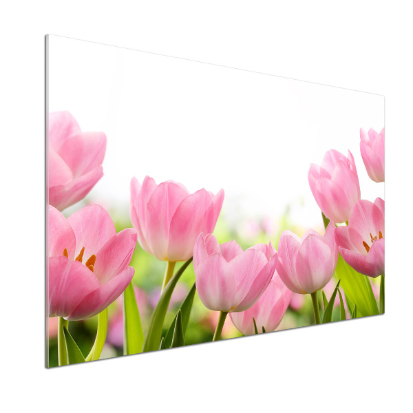 Panel do kuchyne Ružové tulipány