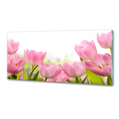 Panel do kuchyne Ružové tulipány