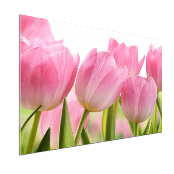 Panel do kuchyne Ružové tulipány