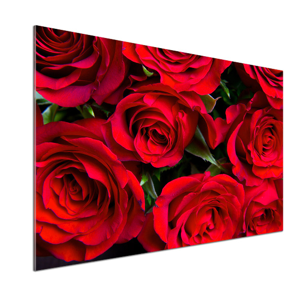 Panel do kuchyne Červené ruže