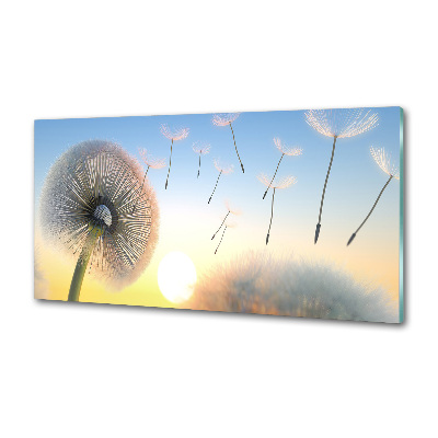 Dekoračný panel sklo Púpava