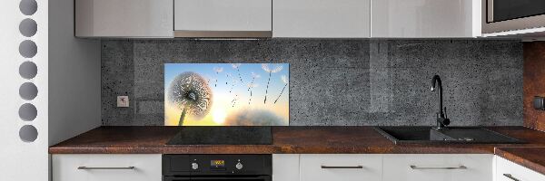 Dekoračný panel sklo Púpava