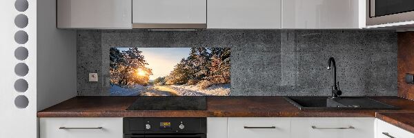 Panel do kuchyne Cesta v lese zima