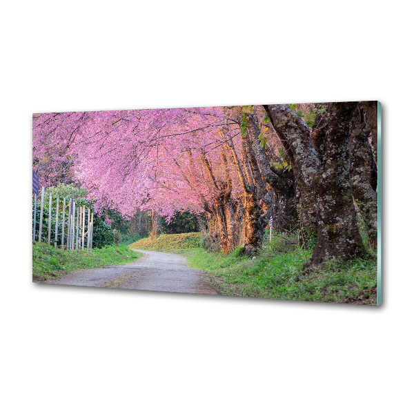 Dekoračný panel sklo Kvety višne
