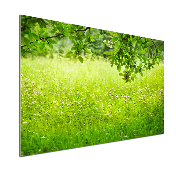 Dekoračný panel sklo Zelená lúka