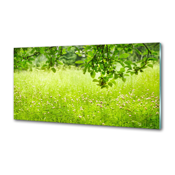 Dekoračný panel sklo Zelená lúka