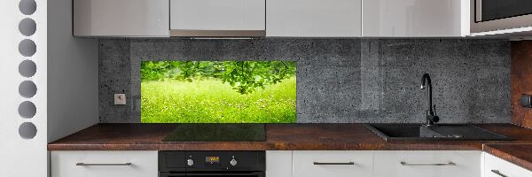 Dekoračný panel sklo Zelená lúka