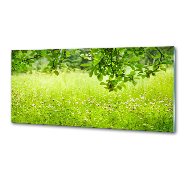 Dekoračný panel sklo Zelená lúka