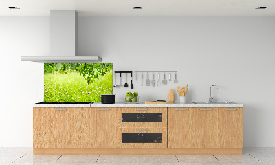 Dekoračný panel sklo Zelená lúka