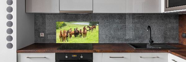 Panel do kuchyne Stádo koní na lúke