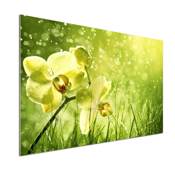 Sklenený panel do kuchynskej linky Orchidea