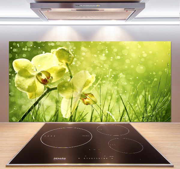 Sklenený panel do kuchynskej linky Orchidea