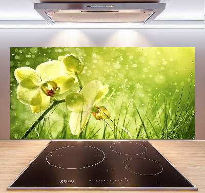 Sklenený panel do kuchynskej linky Orchidea