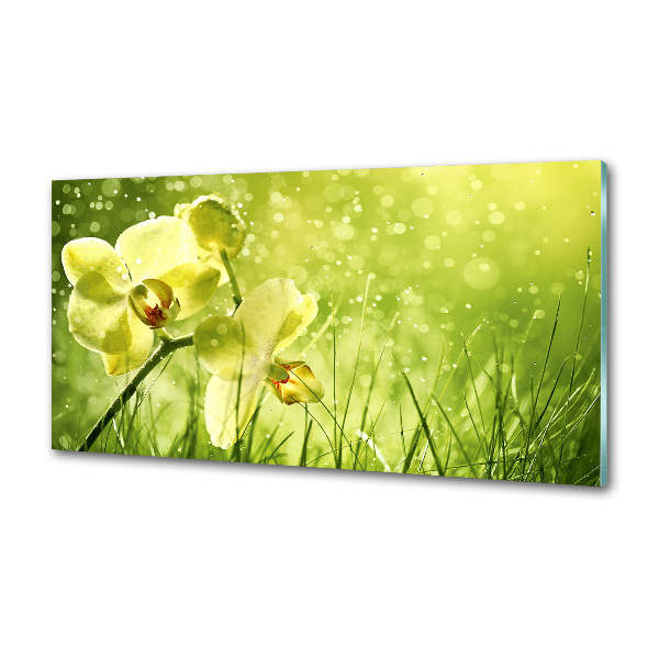 Sklenený panel do kuchynskej linky Orchidea