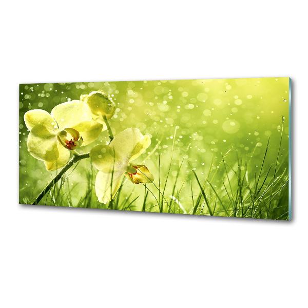 Sklenený panel do kuchynskej linky Orchidea