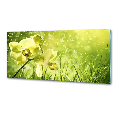Sklenený panel do kuchynskej linky Orchidea