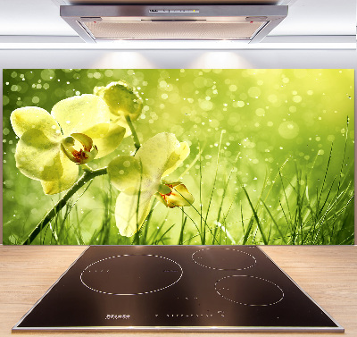 Sklenený panel do kuchynskej linky Orchidea