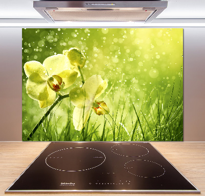Sklenený panel do kuchynskej linky Orchidea