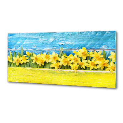 Sklenený panel do kuchyne Narcisy