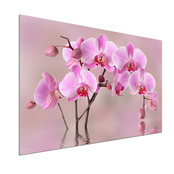 Panel do kuchyne Ružová orchidea