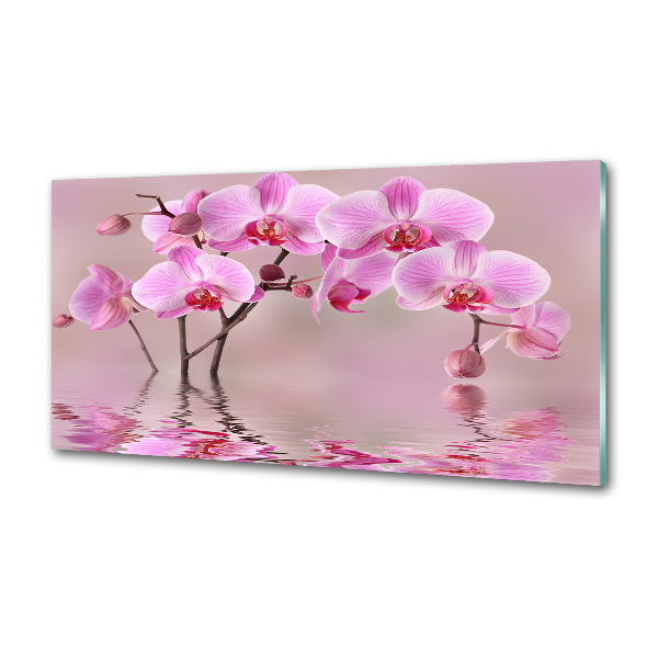 Panel do kuchyne Ružová orchidea