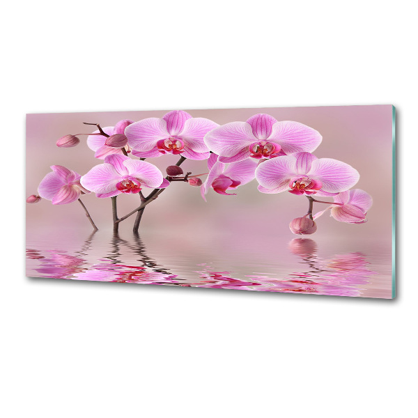 Panel do kuchyne Ružová orchidea