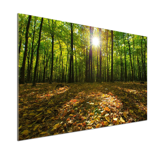 Panel tvrdené sklo do kuchyne Les