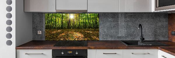 Panel tvrdené sklo do kuchyne Les
