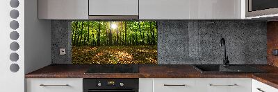 Panel tvrdené sklo do kuchyne Les