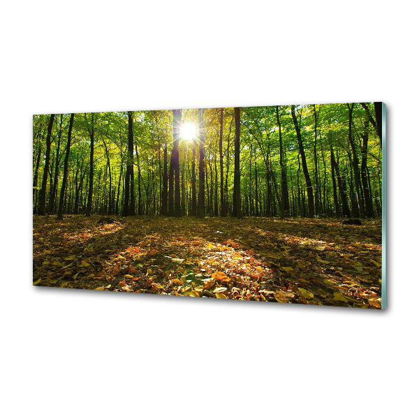 Panel tvrdené sklo do kuchyne Les